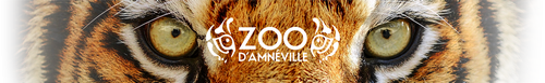 logozooamneville